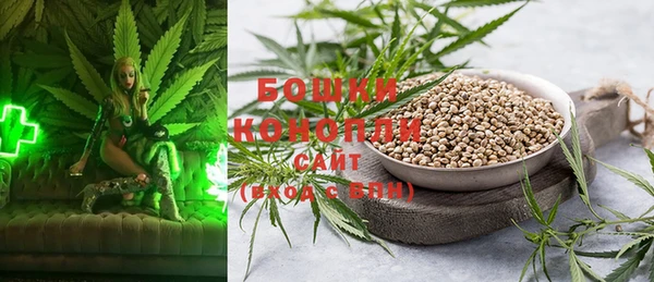 стаф Зеленодольск