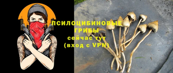 стаф Зеленодольск