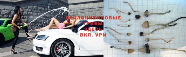 стаф Зеленодольск